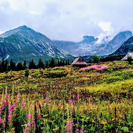 Schronisko Stary Mlyn * Zakopane